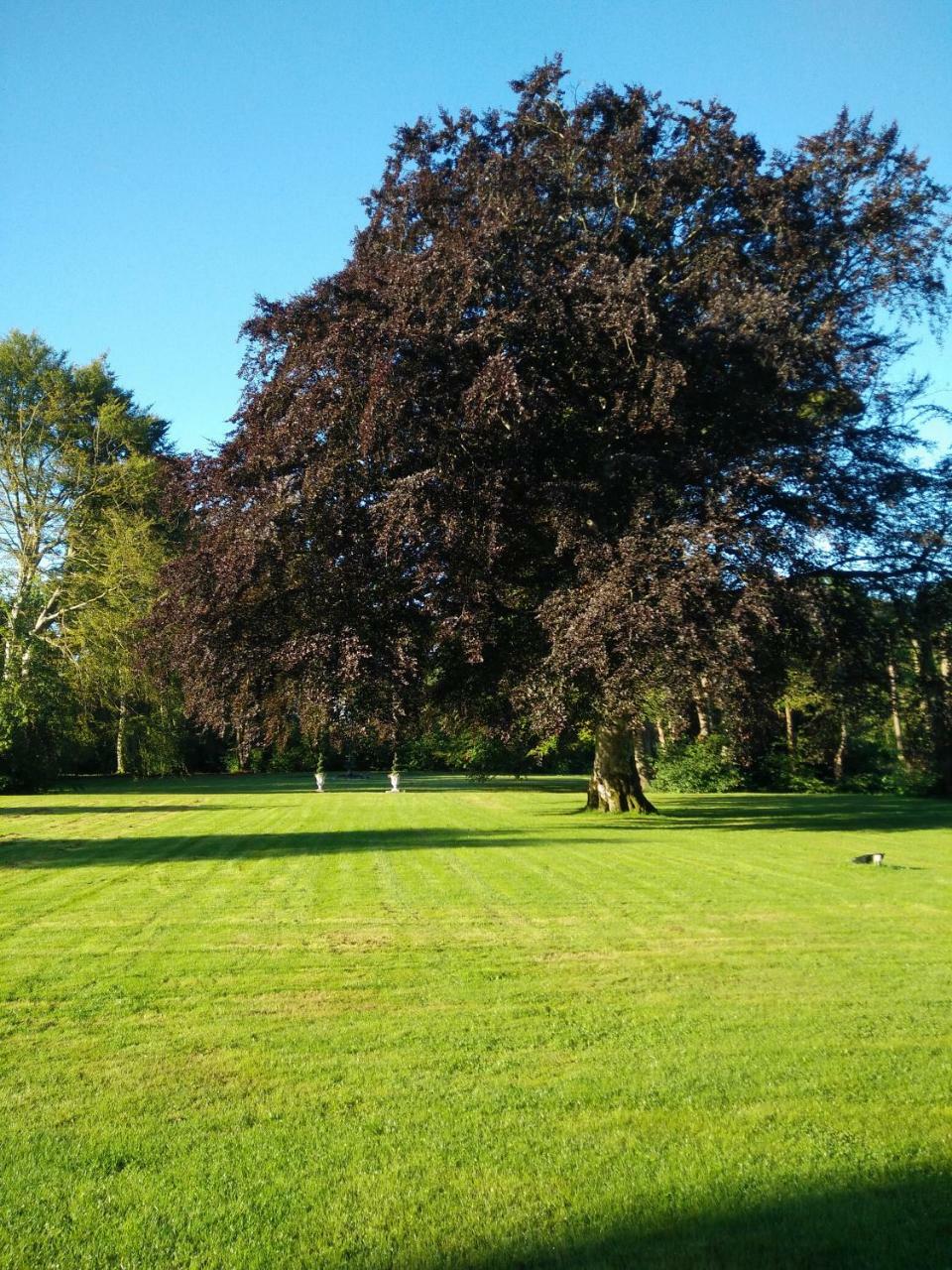 Dronninglund Slot Hotel Bagian luar foto
